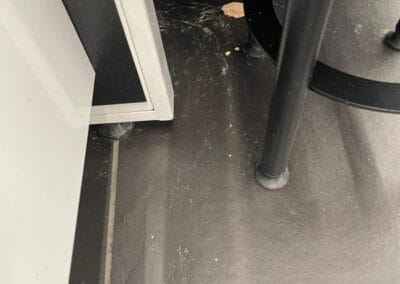 carpet cleaning london ontario